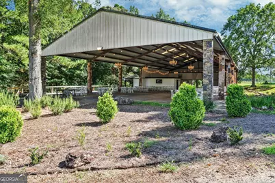 956 Al Roberts Road, Senoia, GA 30276 - Photo 124