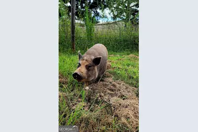 1579 Bates Road, Concord, GA 30206 - Photo 10