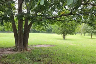 1579 Bates Rd, Concord, GA 30206 - Photo 48