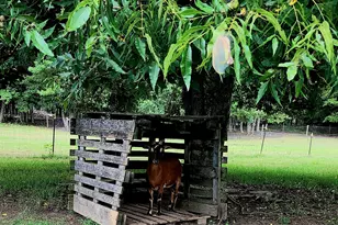 1579 Bates Rd, Concord, GA 30206 - Photo 42