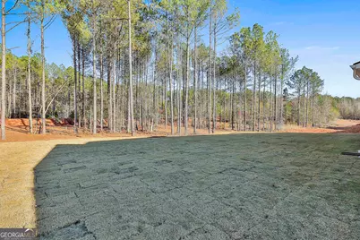 188 Tattersall Way #5-99, Senoia, GA 30276 - Photo 36