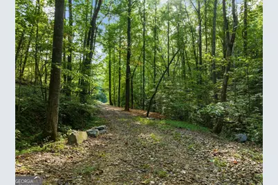 2041 Long Branch Road #TRACT 2A, Dahlonega, GA 30533 - Photo 8