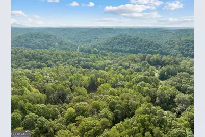 2041 Long Branch Road #TRACT 2A, Dahlonega, GA 30533 - Photo 16