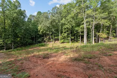 2041 Long Branch Road #TRACT 2A, Dahlonega, GA 30533 - Photo 2