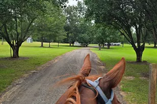 3255 Alvaton Rd, Gay, GA 30218 - Photo 38