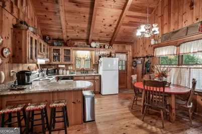 263 Indian Cave Road, Ellijay, GA 30536 - Photo 10
