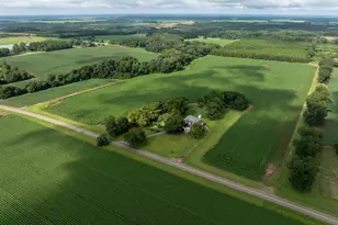 7890 Poplar Springs Rd, Byromville, GA 31007 - Photo 46