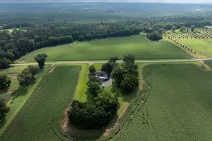 7890 Poplar Springs Rd, Byromville, GA 31007 - Photo 70