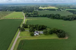 7890 Poplar Springs Rd, Byromville, GA 31007 - Photo 66