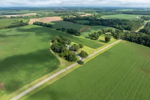 7890 Poplar Springs Rd, Byromville, GA 31007 - Photo 74