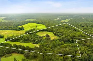 380 Stephens Rd, Eastanollee, GA 30538 - Photo 4