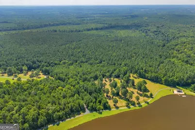 300 Slalom Pass, Forsyth, GA 31029 - Photo 10