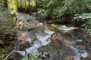 43 Wild Horse Rd, Sylva, NC 28779 - Photo 10