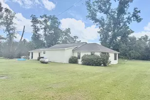 3439 E River Rd, Lumber City, GA 31549 - Photo 22