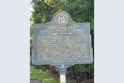 Lot 4 Mission Drive, Darien, GA 31305 - Photo 10