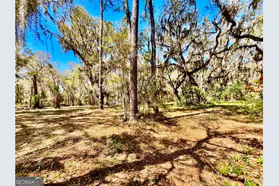 Lot 4 Mission Drive, Darien, GA 31305 - Photo 2