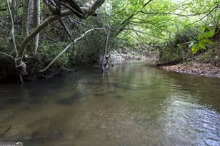 48 Twin Creeks, Epworth, GA 30541 - Photo 48