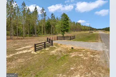 0 Dewey Thomas Road #LOT 4, Dexter, GA 31019 - Photo 4