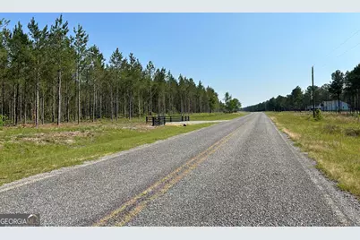 0 Dewey Thomas Road #LOT 4, Dexter, GA 31019 - Photo 16