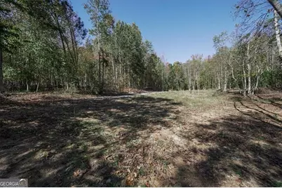 8205 Nicholson Road #LOT 1, Cumming, GA 30028 - Photo 6