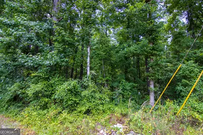 0 Leisure Circle, Pine Mountain, GA 31822 - Photo 8