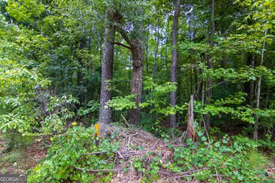 0 Leisure Circle, Pine Mountain, GA 31822 - Photo 12