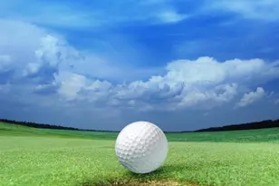 2390 Club Dr, Greensboro, GA 30642 - Photo 44