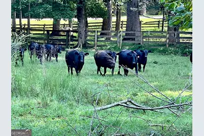 6223 Hulsey Road, Clermont, GA 30527 - Photo 4