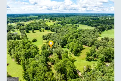 6223 Hulsey Road, Clermont, GA 30527 - Photo 60