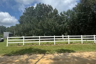 75 Rudolph Rd, Collins, GA 30421 - Photo 4