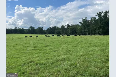 0 Bartram Trail, Arnoldsville, GA 30619 - Photo 2