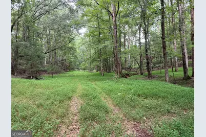 0 Bartram Trail, Arnoldsville, GA 30619 - Photo 32