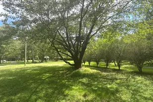 141 Friendship Ln, Mineral Bluff, GA 30559 - Photo 8