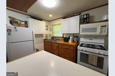 141 Friendship Lane, Mineral Bluff, GA 30559 - Photo 4