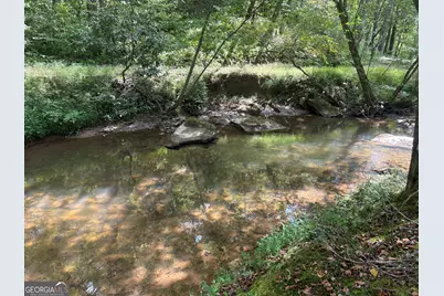 141 Friendship Lane, Mineral Bluff, GA 30559 - Photo 12