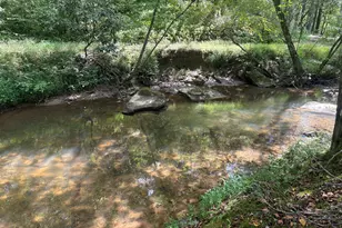 141 Friendship Ln, Mineral Bluff, GA 30559 - Photo 12