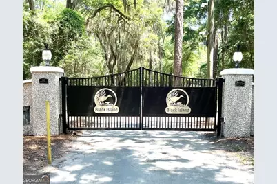 Lot 28 E Black Island Road, Darien, GA 31305 - Photo 6