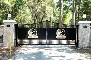 Lot 28 E Black Island Rd, Darien, GA 31305 - Photo 6