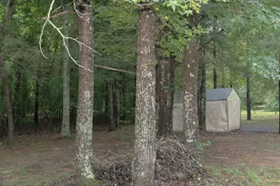 1170 River Woods Dr, Madison, GA 30650 - Photo 22