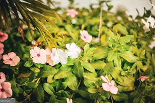 1576 Chula Brookfield Rd, Tifton, GA 31794 - Photo 6