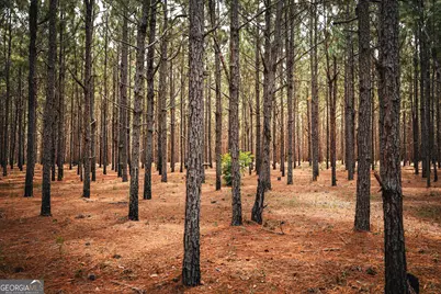 1576 Chula Brookfield Road, Tifton, GA 31794 - Photo 44