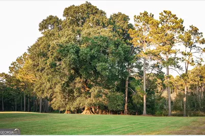 1576 Chula Brookfield Road, Tifton, GA 31794 - Photo 16