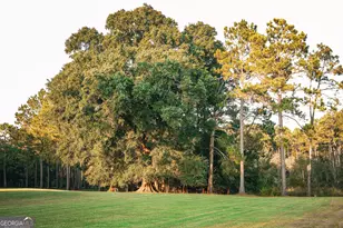 1576 Chula Brookfield Rd, Tifton, GA 31794 - Photo 16