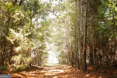 1576 Chula Brookfield Road, Tifton, GA 31794 - Photo 40