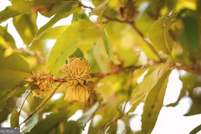 1576 Chula Brookfield Road, Tifton, GA 31794 - Photo 36