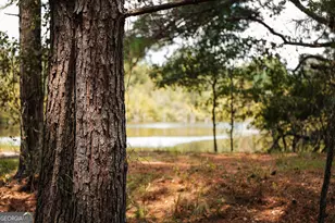 1576 Chula Brookfield Rd, Tifton, GA 31794 - Photo 46