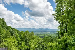 170 Walnut Ridge, Ellijay, GA 30536 - Photo 8