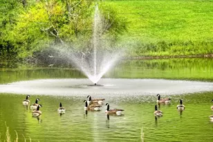 167 Whispering Pne Ln, Cherrylog, GA 30522 - Photo 16