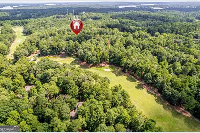 1041 Lockets Trail, Greensboro, GA 30642 - Photo 10