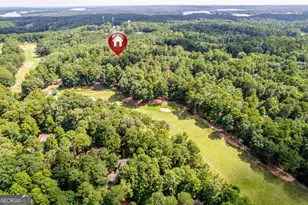 1041 Lockets Trail, Greensboro, GA 30642 - Photo 10